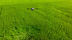 DJI AGRAS T50