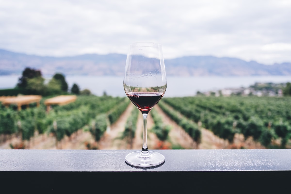 Vineyards & Farms